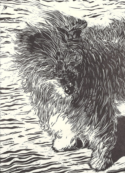 Ron McBurnie