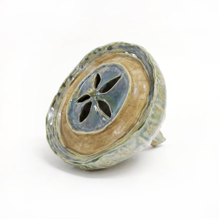 Eucalyptus Seedpod (blue / green)