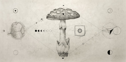 70. PROPORTION I