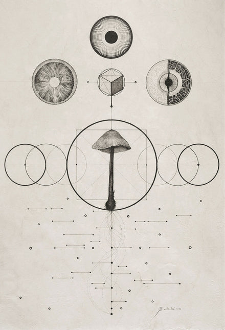 67. MYCELIUM