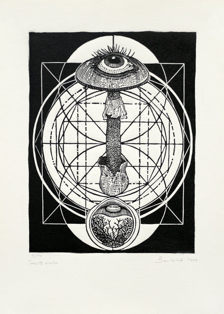 54. Transito Ocular