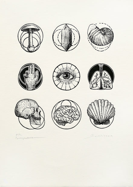 56. Correlaciones (SOLD)
