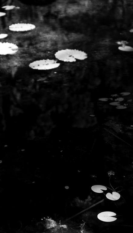 Delicate Series #11