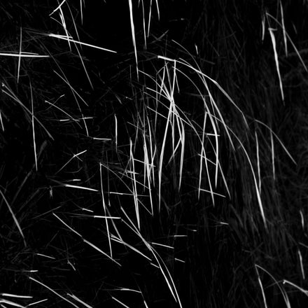 Delicate Series #5
