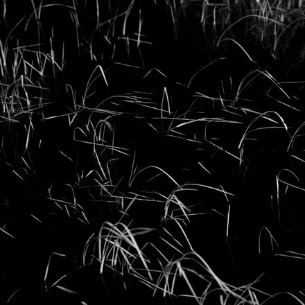 Delicate Series #8