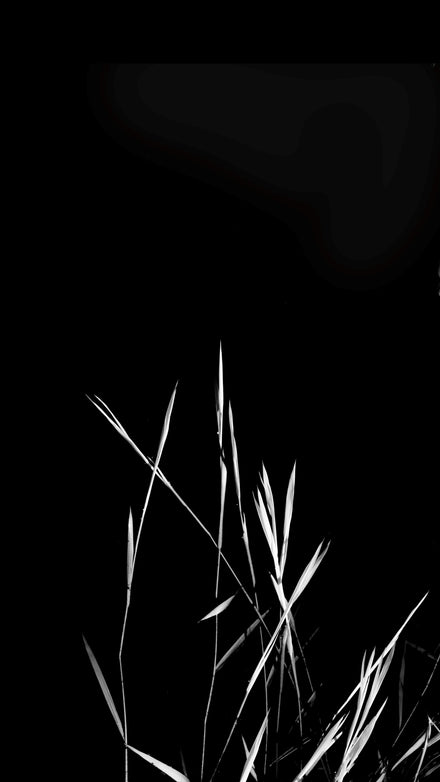 Delicate Series #9
