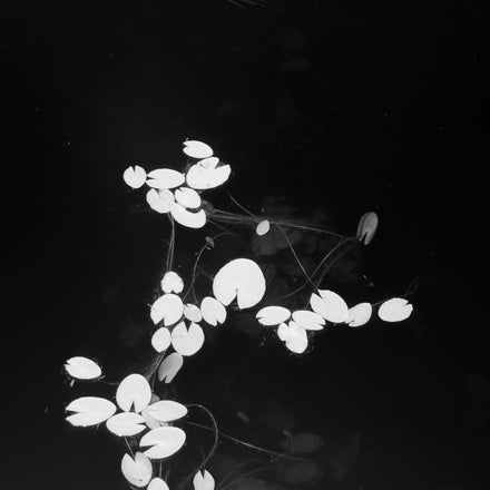Float and Breathe