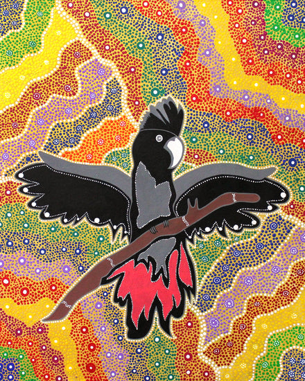 Black Cockatoo
