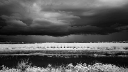 Before the Storm