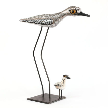 Curlew and Baby