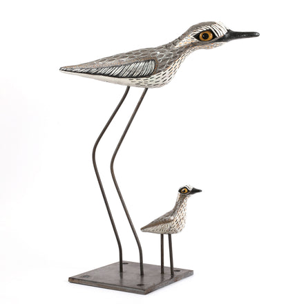Curlew Mother and Child