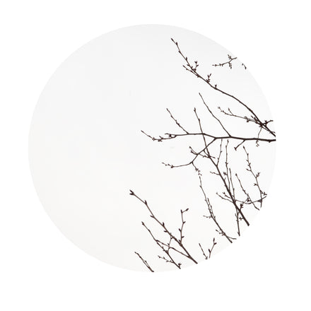 Winter Trees #1