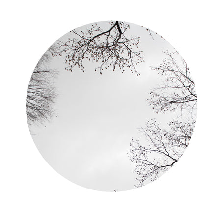 Winter Trees #3