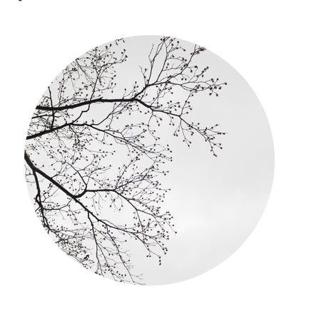 Winter Trees #4