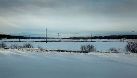Hokkaido Winter Light #2