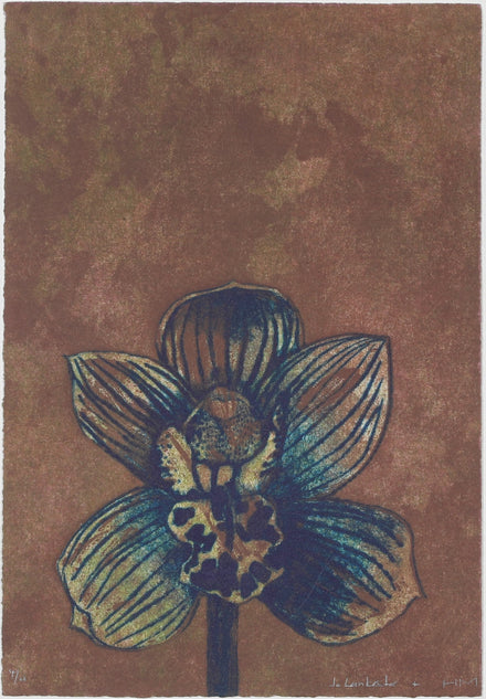 Awkward Orchid #1 II