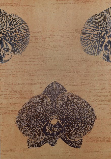 Wallflower wallpaper