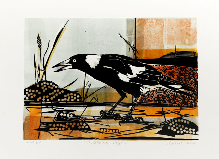 Australian Magpie
