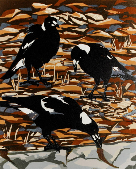 Magpies and dry leaves