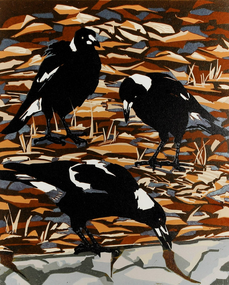 Magpies and dry leaves