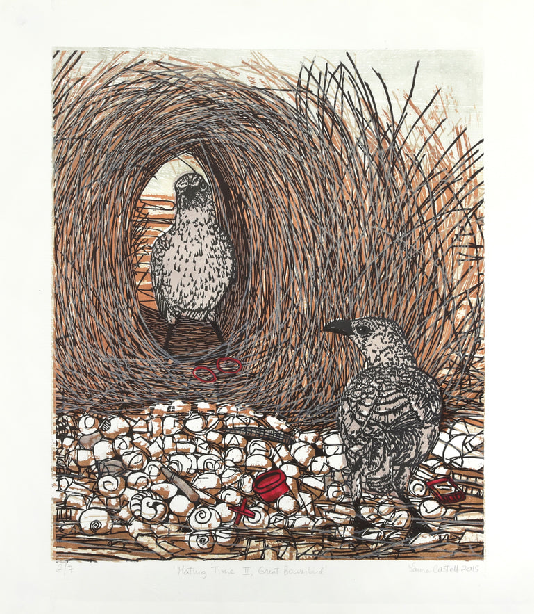Mating Time II - Great Bowerbird