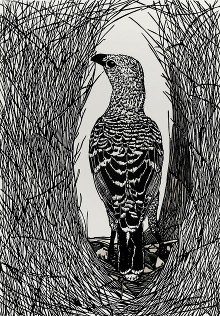 Vigilant