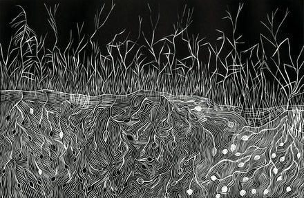 Jurnta - Bush Onions