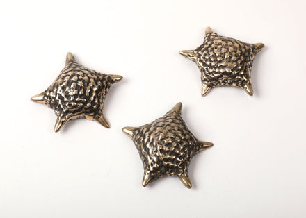 Wer (Star)