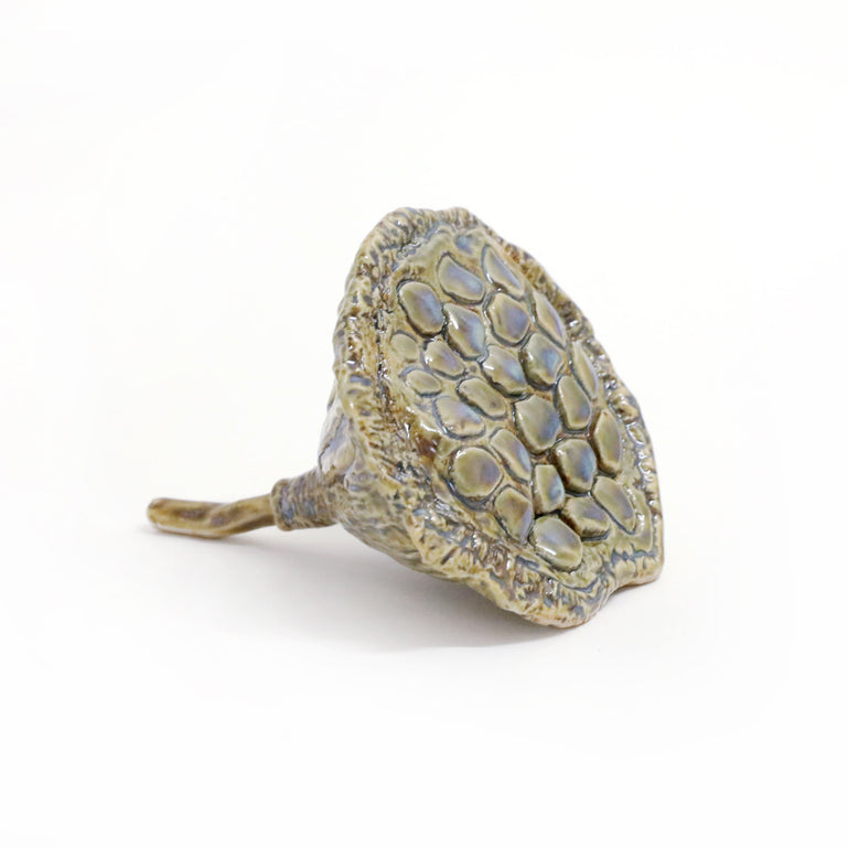 Lotus Pod (small)