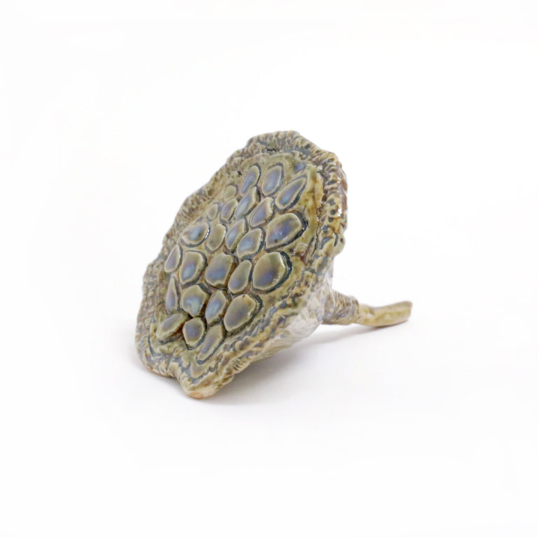 Lotus Pod (small)