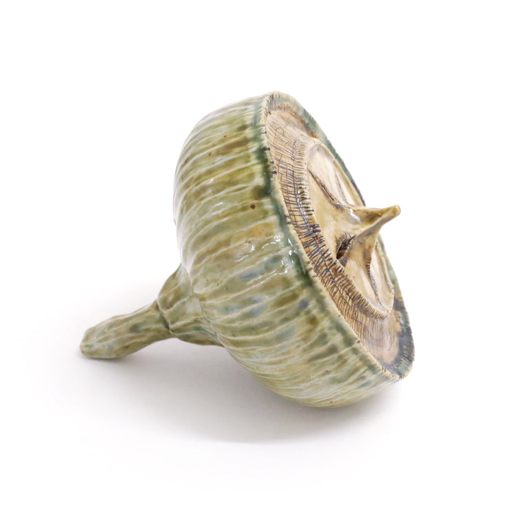Eucalyptus Seedpod (brown)