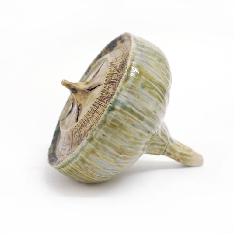 Eucalyptus Seedpod (brown)