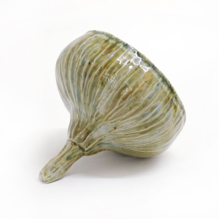 Eucalyptus Seedpod (brown)