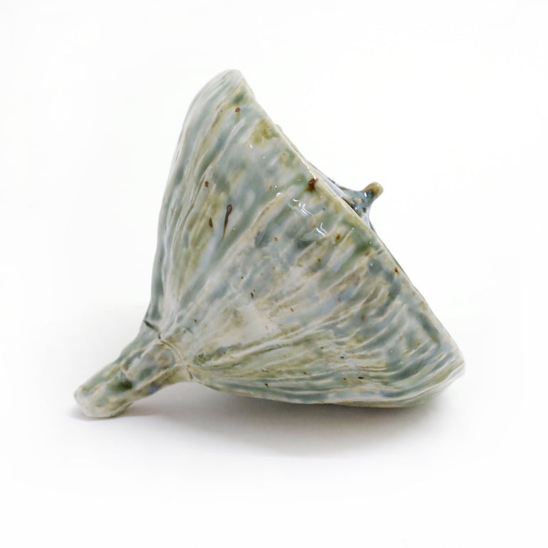 Eucalyptus Seedpod (blue / green)