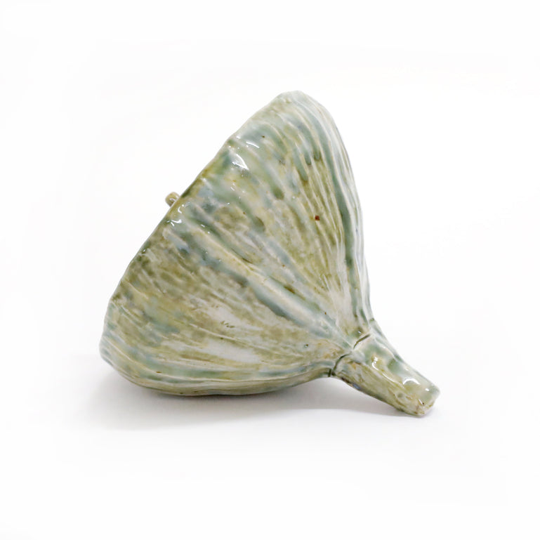 Eucalyptus Seedpod (blue / green)