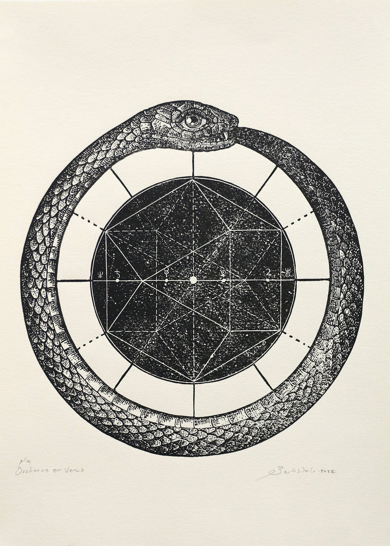 53. Oeoborus en Venus (SOLD)