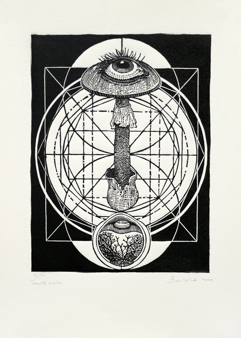 54. Transito Ocular
