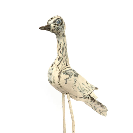 Curlew