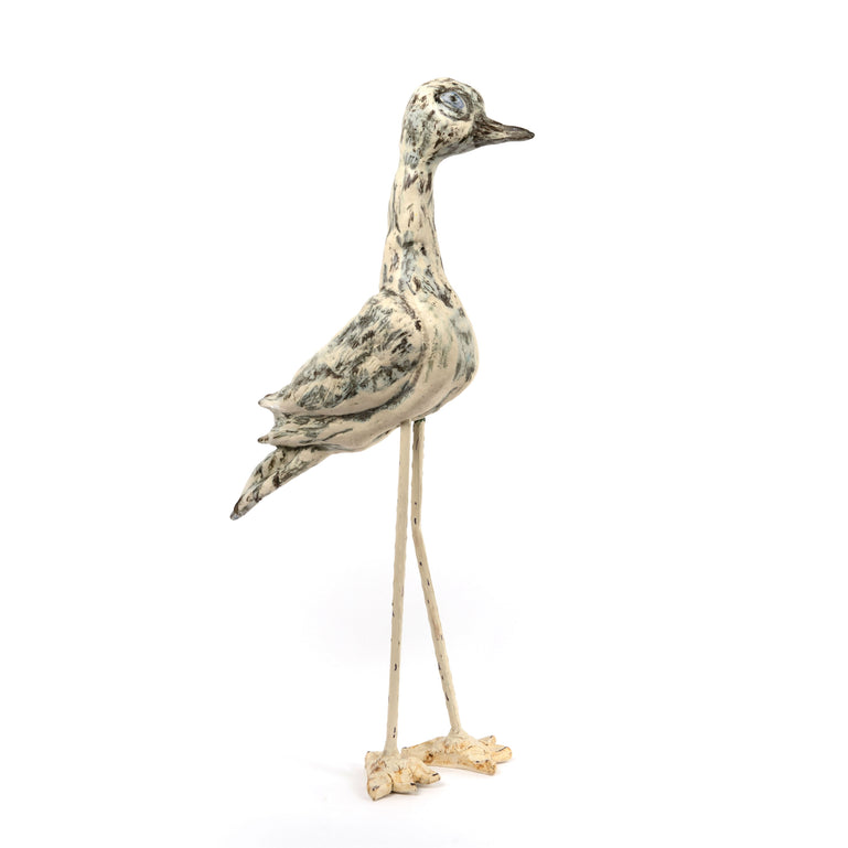 Curlew