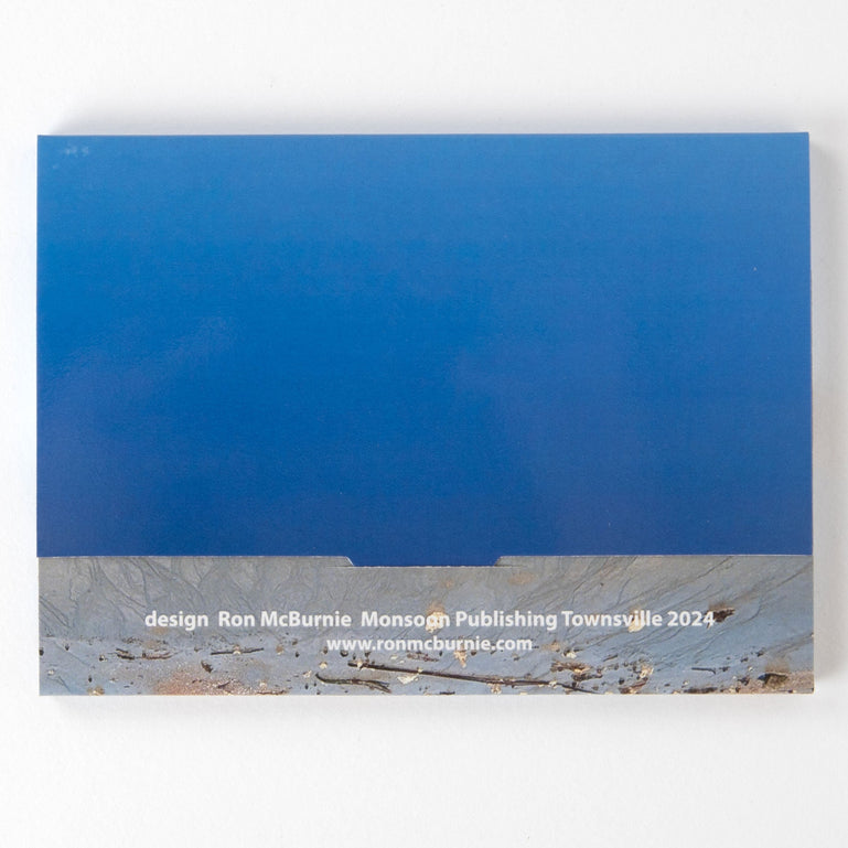 From the Beach Postcard Pack by Ann Thompson and Elizabeth Springer