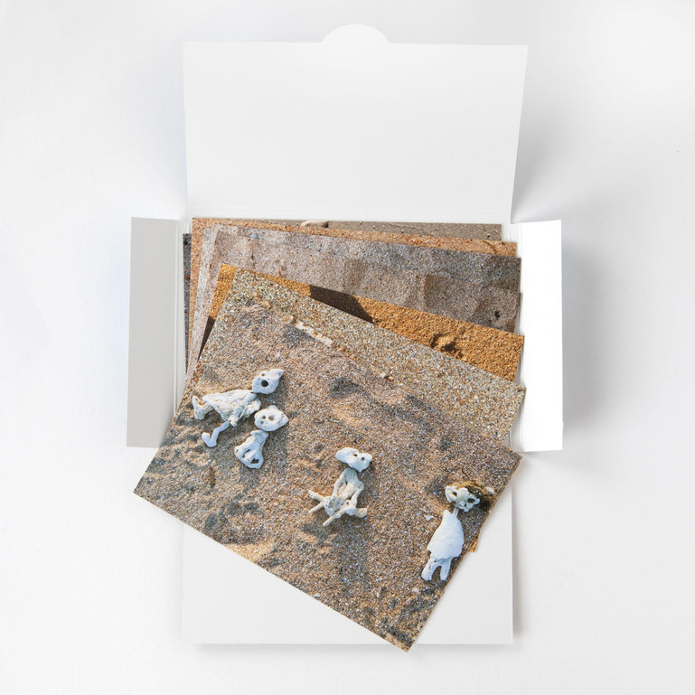 From the Beach Postcard Pack by Ann Thompson and Elizabeth Springer