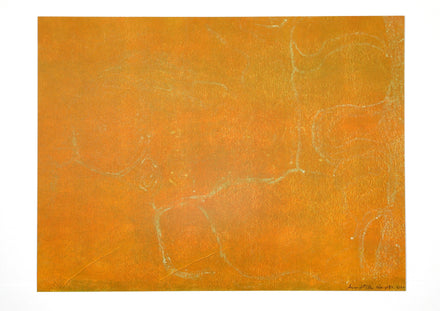 After the Rain Season Waters and Green Growth