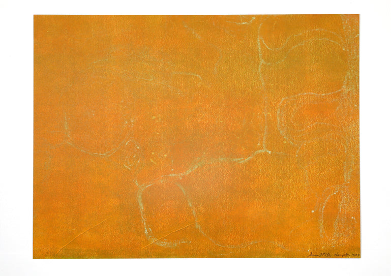 After the Rain Season Waters and Green Growth