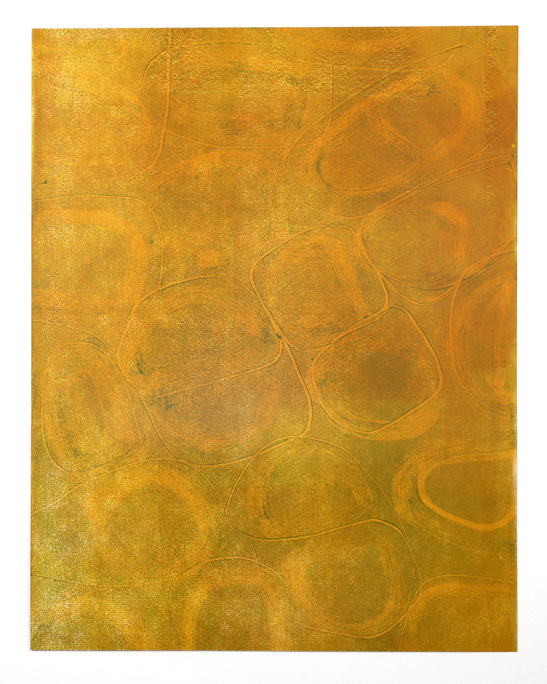 Birth Place Ord River Argyle Station #1